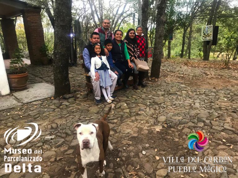 0205 1ff37df4-82b5-4fa7-ab38-c85e52e2d321