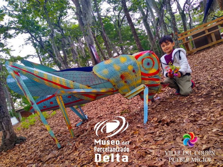 IMG_20191012_112219793_HDR